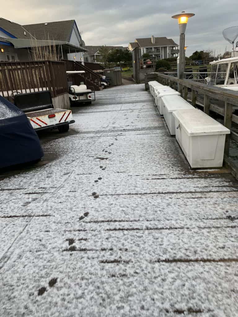snow at marina docks