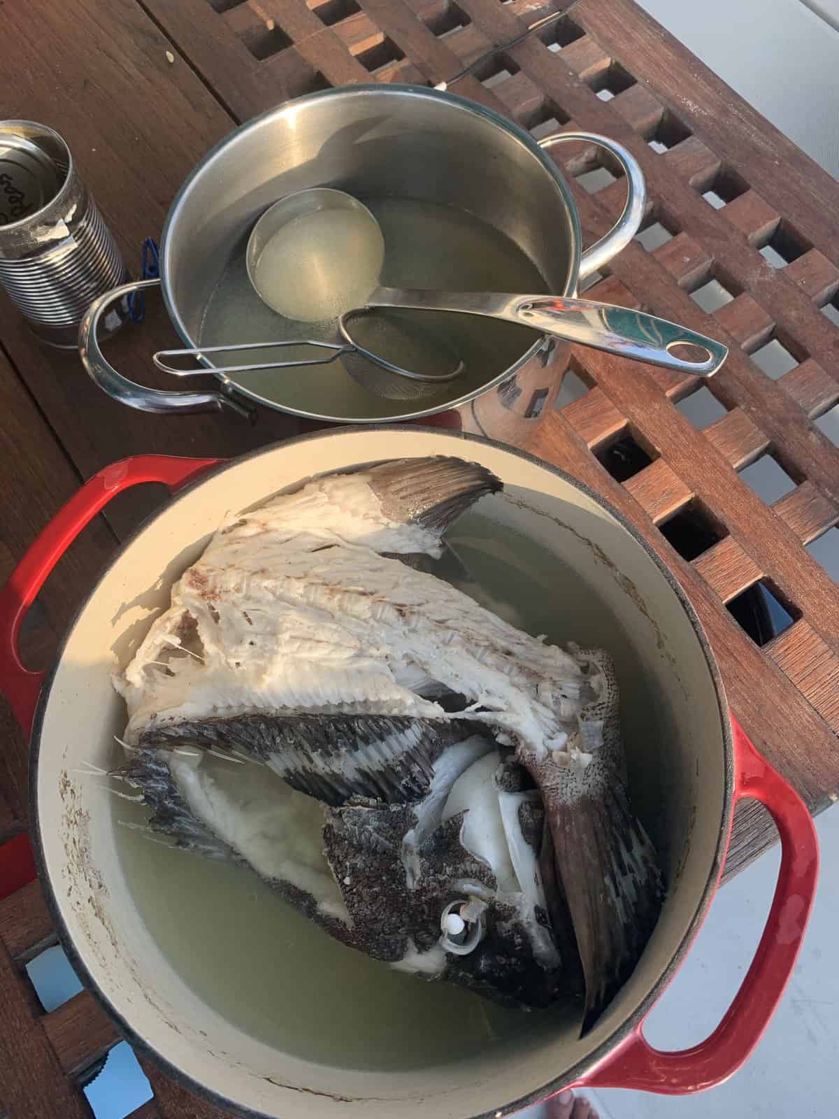 a pot with fish inside, for fish stock. 