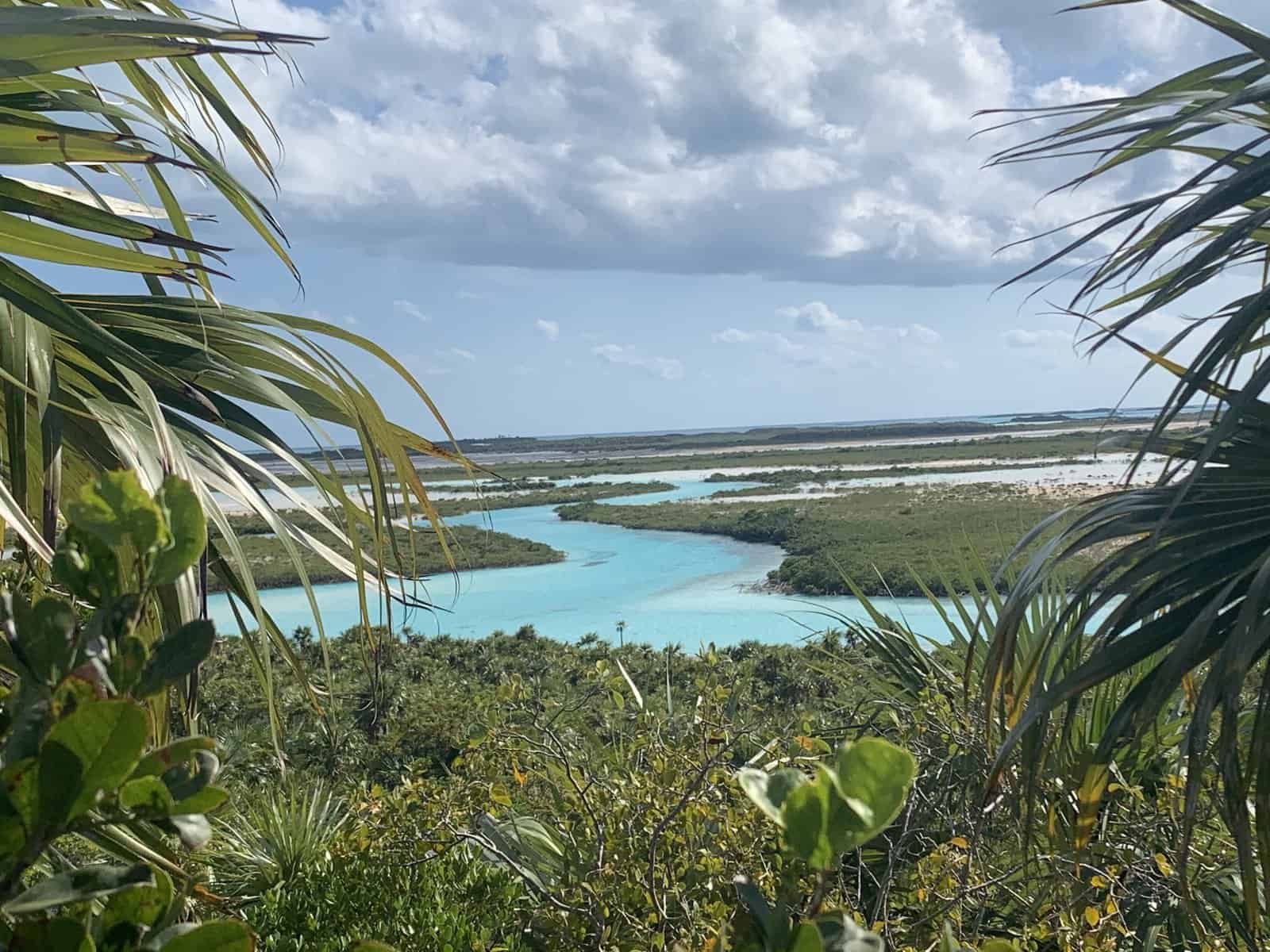 Land and Sea Park, Bahamas view of blue water from a hill