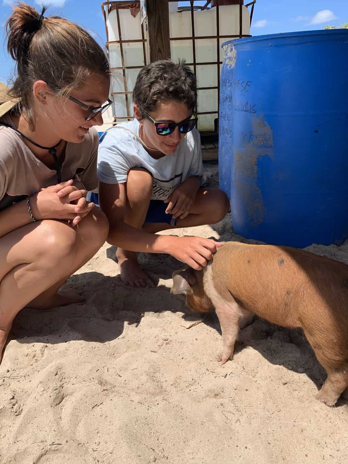 petting pigs at pig beach