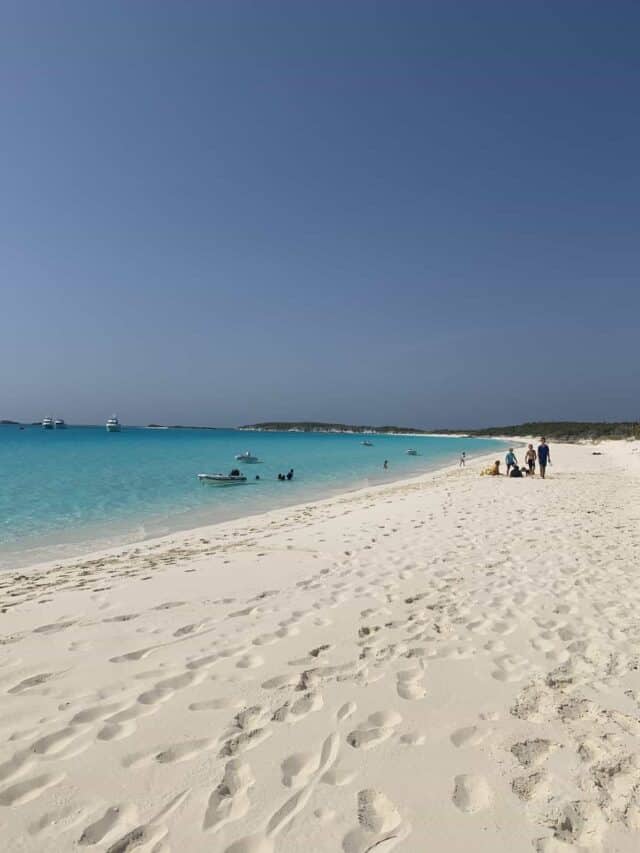 Worried About Sharks? 10 Tips for a Safe Swim.