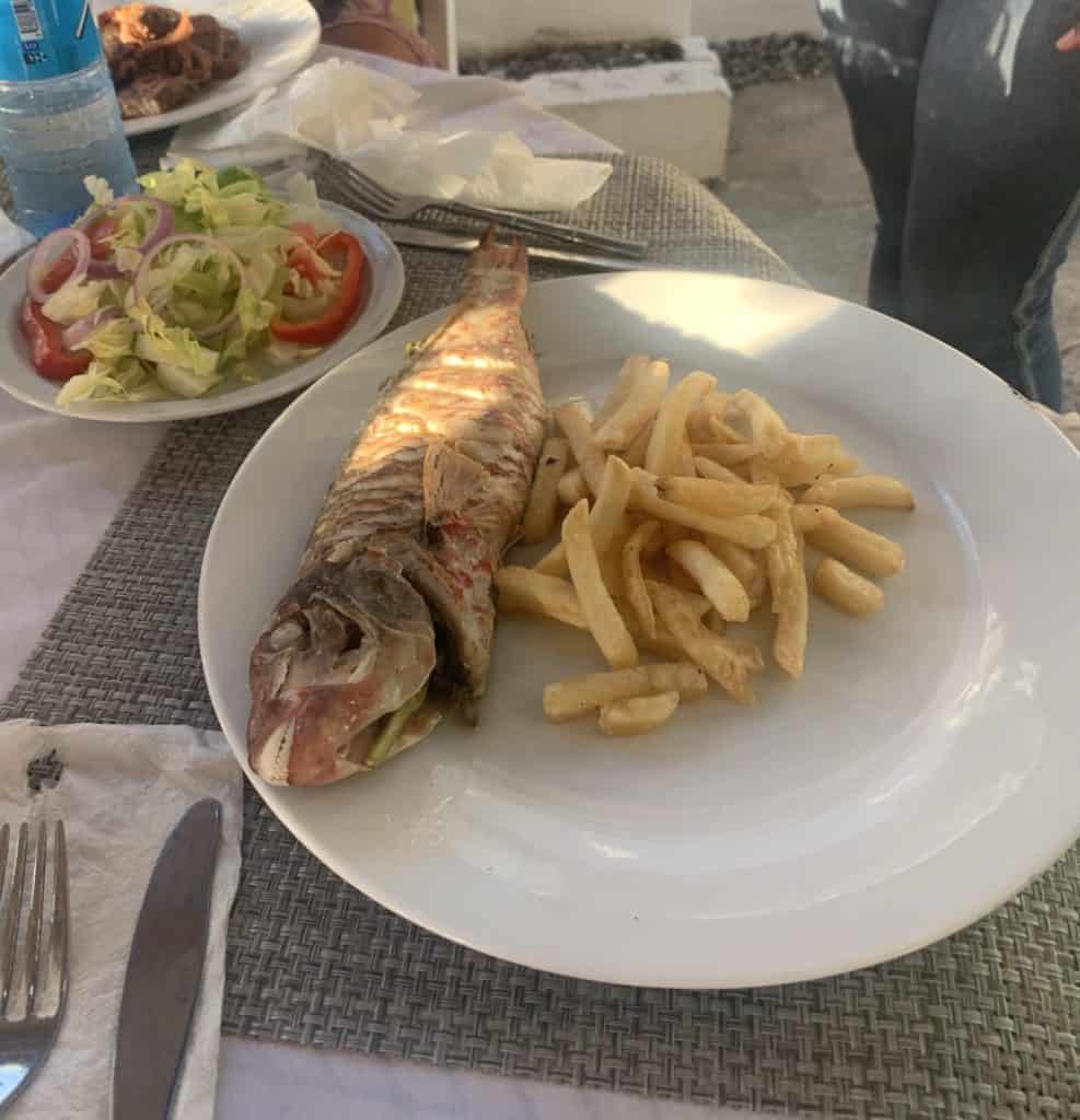 parrot fish plate in a restaurant in Luperon