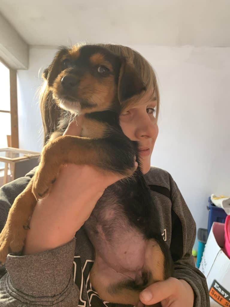dog shelter volunteer, one of our children holding a puppy