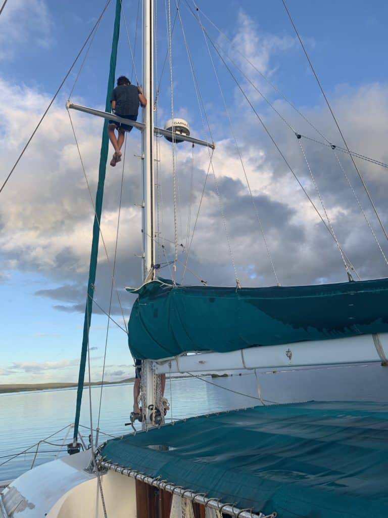 a boy half-way up a mast
