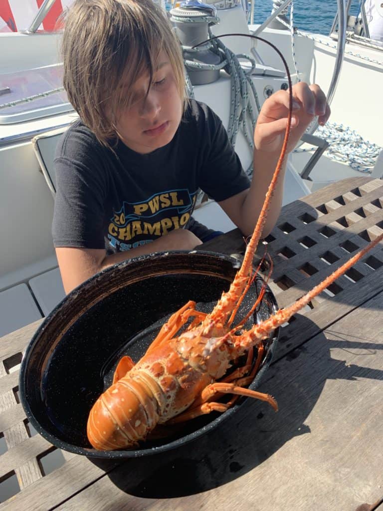 cooked lobster on a boat
