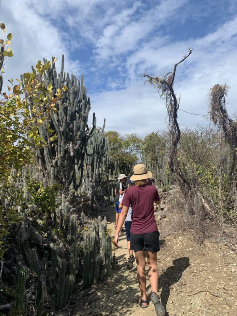 kids walking on a cactus trail on Isla Caja de Muertos