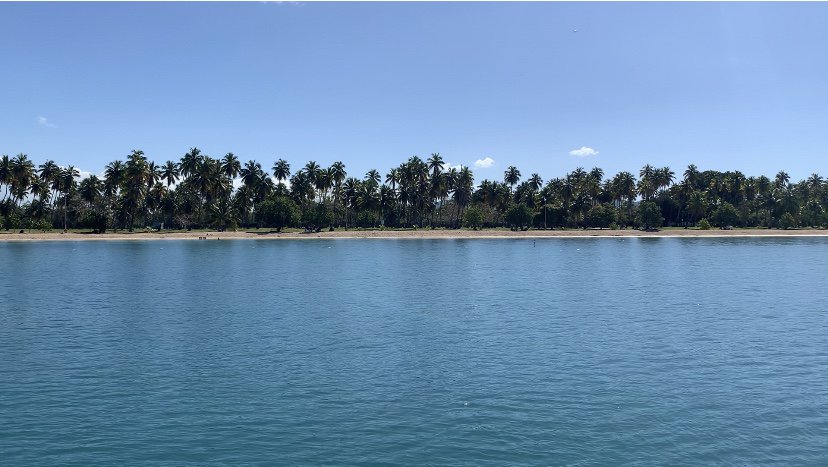 Bahia de Boqueron sandy beach with palm trees, showing a great swimming area. Our most favorite beach along the south coast of Puerto Rico. 
