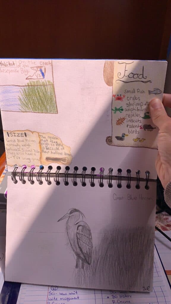 a photo of our nature journal, two world-schooling subjects in one!