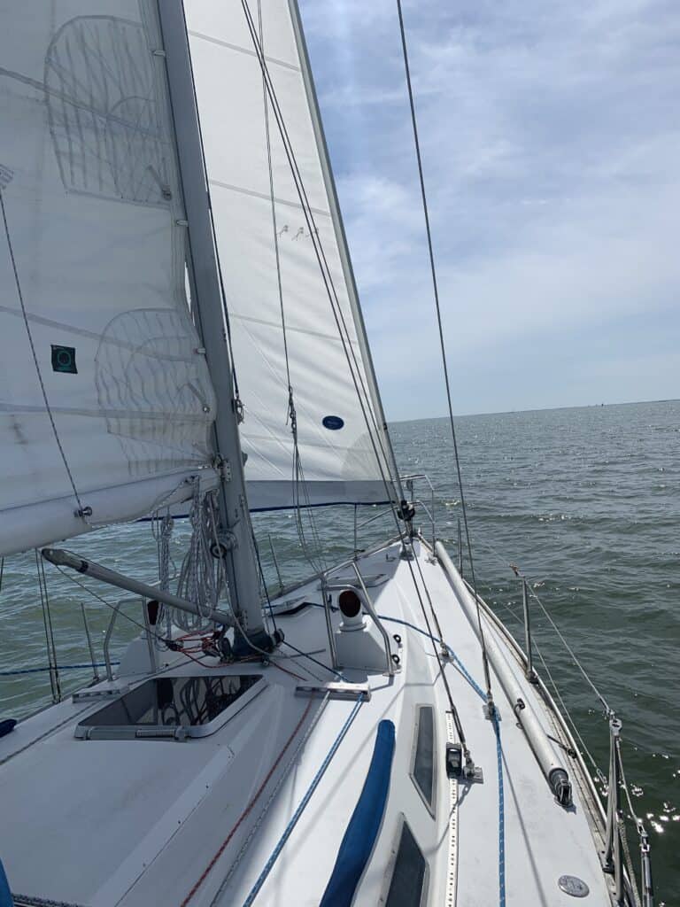 sails up on a cruising monohull, on a sunny day